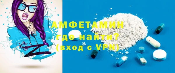 индика Абаза