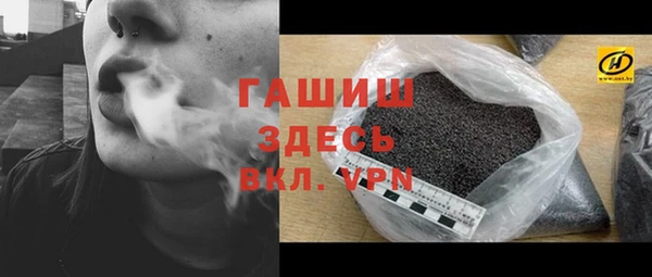индика Абаза