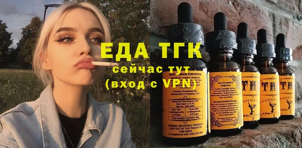 индика Абаза