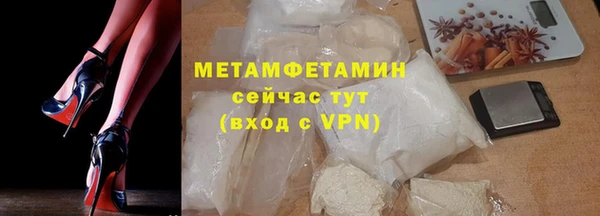 индика Абаза