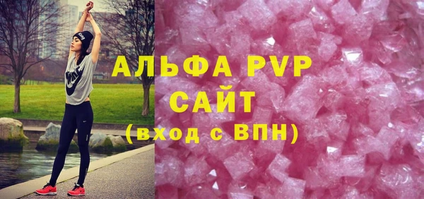 индика Абаза