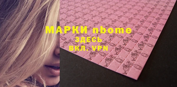 индика Абаза