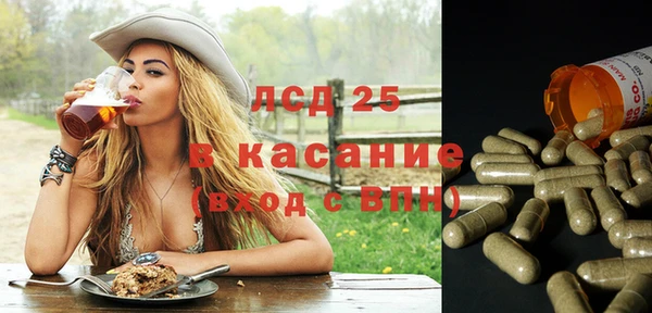 индика Абаза
