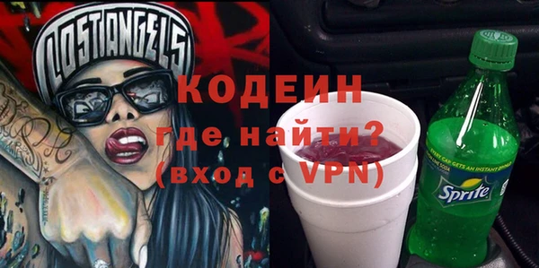 индика Абаза