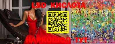 MDMA Новозыбков