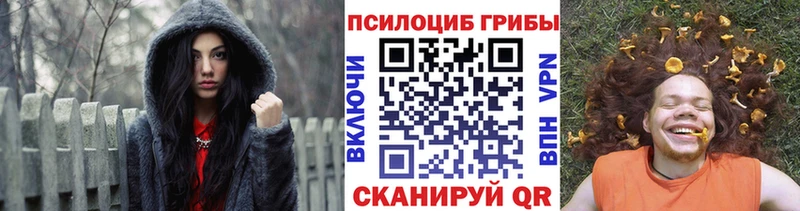 omg как зайти  Фрязино  Псилоцибиновые грибы Cubensis 